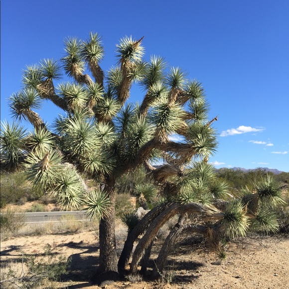 Hello there. ¡Hola! Hāi ! - Picture 3 of 7